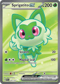 251-sprigatitoex