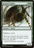 253-sentinelspider