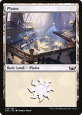 263-plains