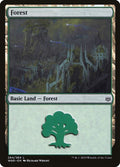 264-forest