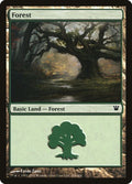 264-forest