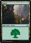 264-forest