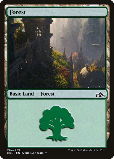 264-forest