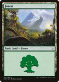 267-forest