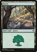 268-forest