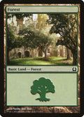271-forest