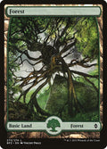 273-forest