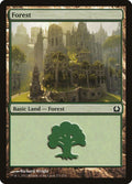 273-forest