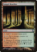 273-fungalreaches