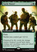 275-turtlepower