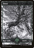 276-forest