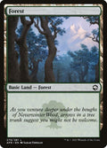 279-forest