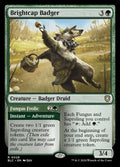28-brightcapbadgerfungusfrolic-a
