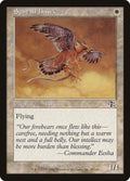 28-suntailhawk