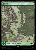 281-forest
