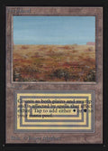282-scrubland