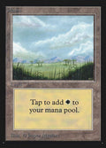 289-plains