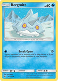 29-bergmite