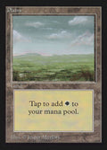 290-plains