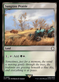 295-sungrassprairie