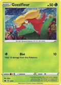 3-gossifleur