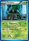 3-torterra-teamplasma