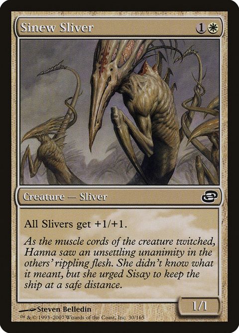 30-sinewsliver