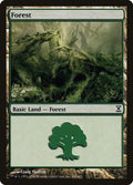 300-forest