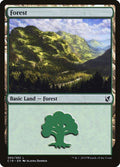 300-forest