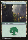 302-forest