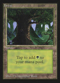 302-forest