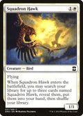 31-squadronhawk