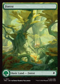 311-forest