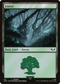 317-forest