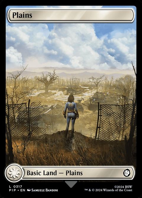 317-plains