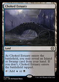 322-chokedestuary
