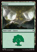 326-forest
