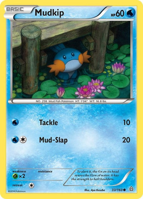 33-mudkip