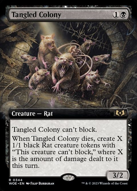 344-tangledcolony