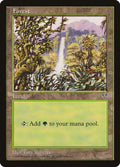 348-forest