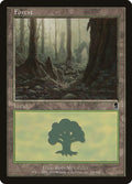 348-forest