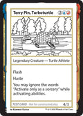 364-terrypinturboturtle