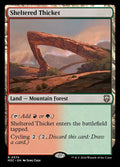 374-shelteredthicket