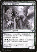 375-ravenoussquirrel