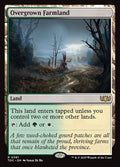 381-overgrownfarmland