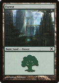 383-forest