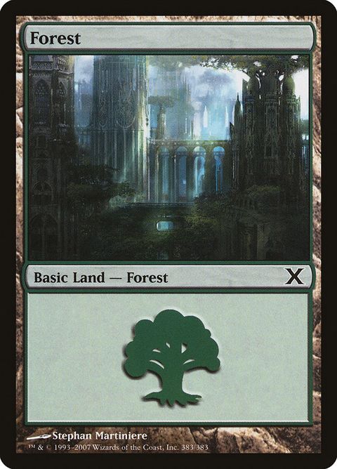 383-forest