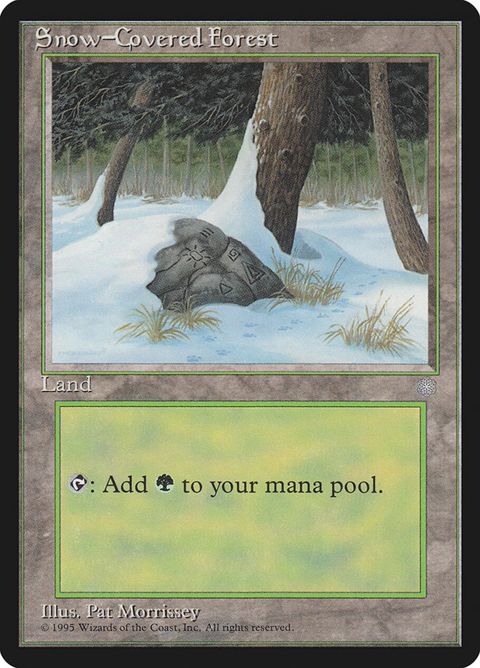 383-snowcoveredforest