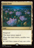 385-lotusfield