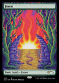 388-forest